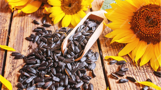 Cold-Pressed Kachi Ghani Sunflower Oil: A Healthier Choice for Your Kitchen